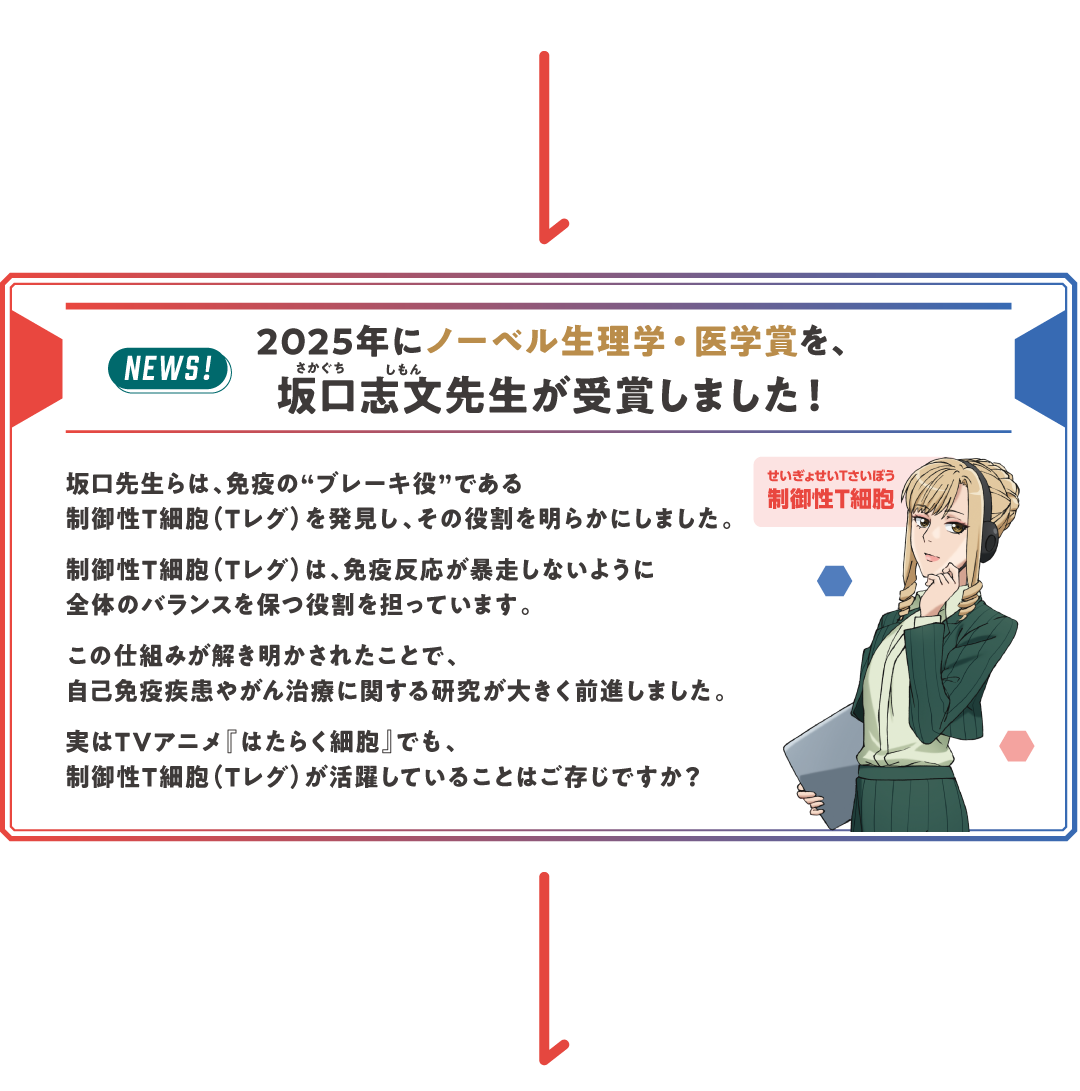 2025年にノーベル生理学・医学賞を坂口先生が受賞しました